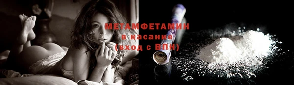 прущие грибы Болотное