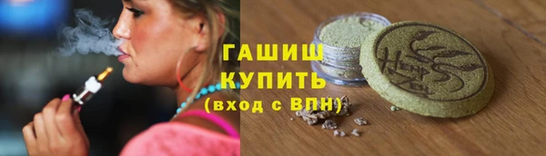 прущие грибы Болохово
