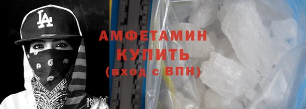 прущие грибы Болохово