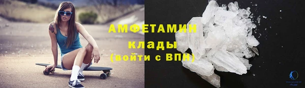 прущие грибы Болотное