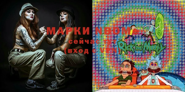 прущие грибы Болохово
