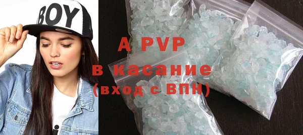 прущие грибы Болотное