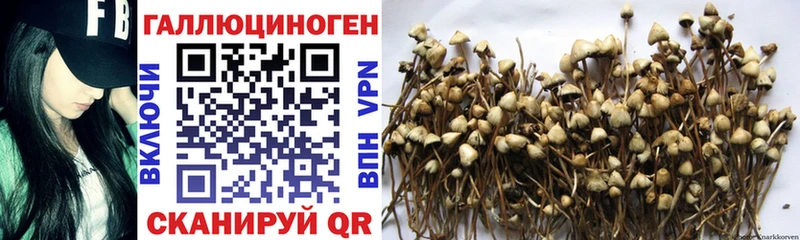 Псилоцибиновые грибы мицелий  цена   Серафимович 